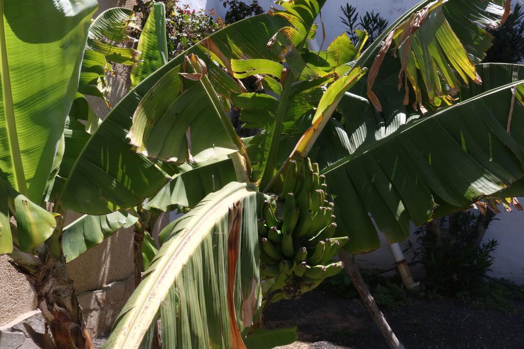 3C Fuerteventura Villa Costa Calma Kültér fotó